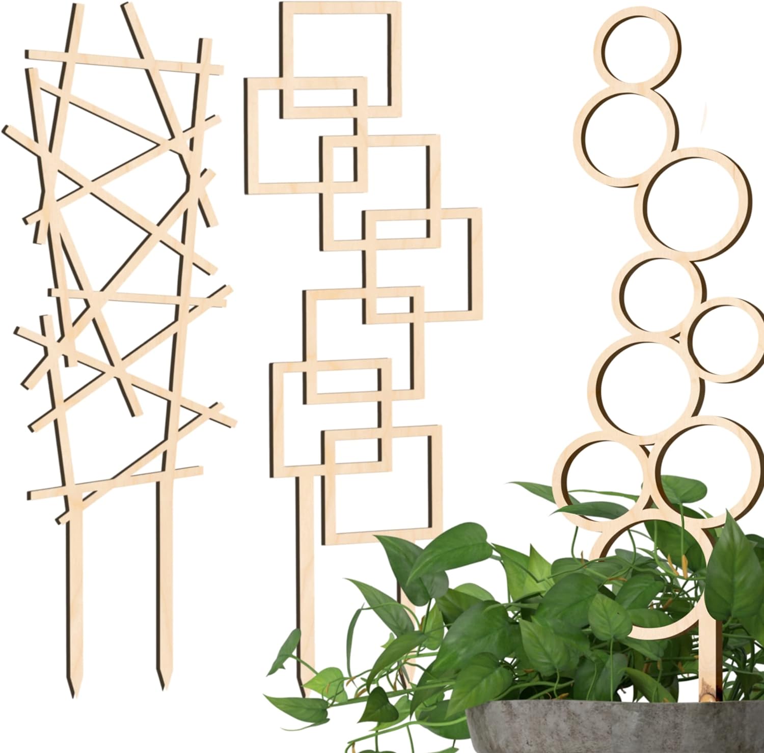 Zigzag/Frame/Bubble