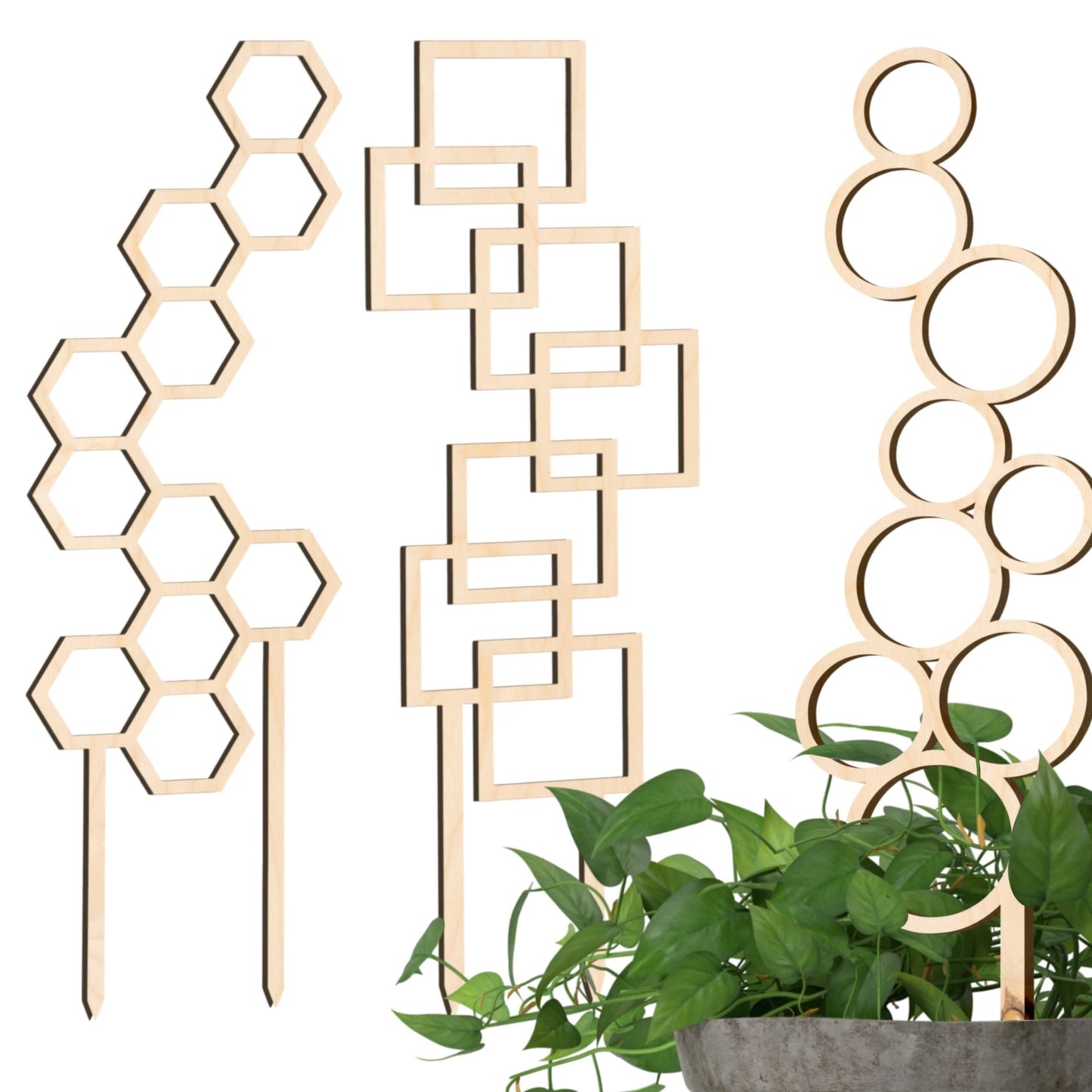 Bubble/Hexagon/Frame