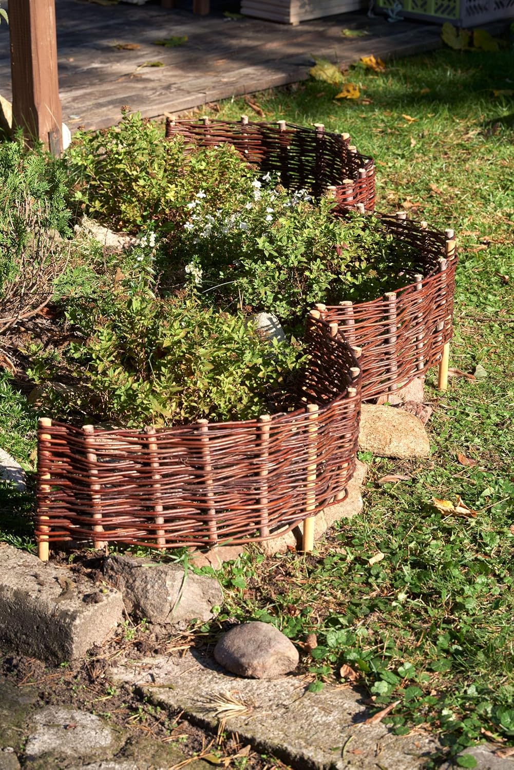 Pineea Beeteinfassung aus Weide – Wetterfeste Beetbegrenzung Weidenzaun 5er Set zum Einstecken